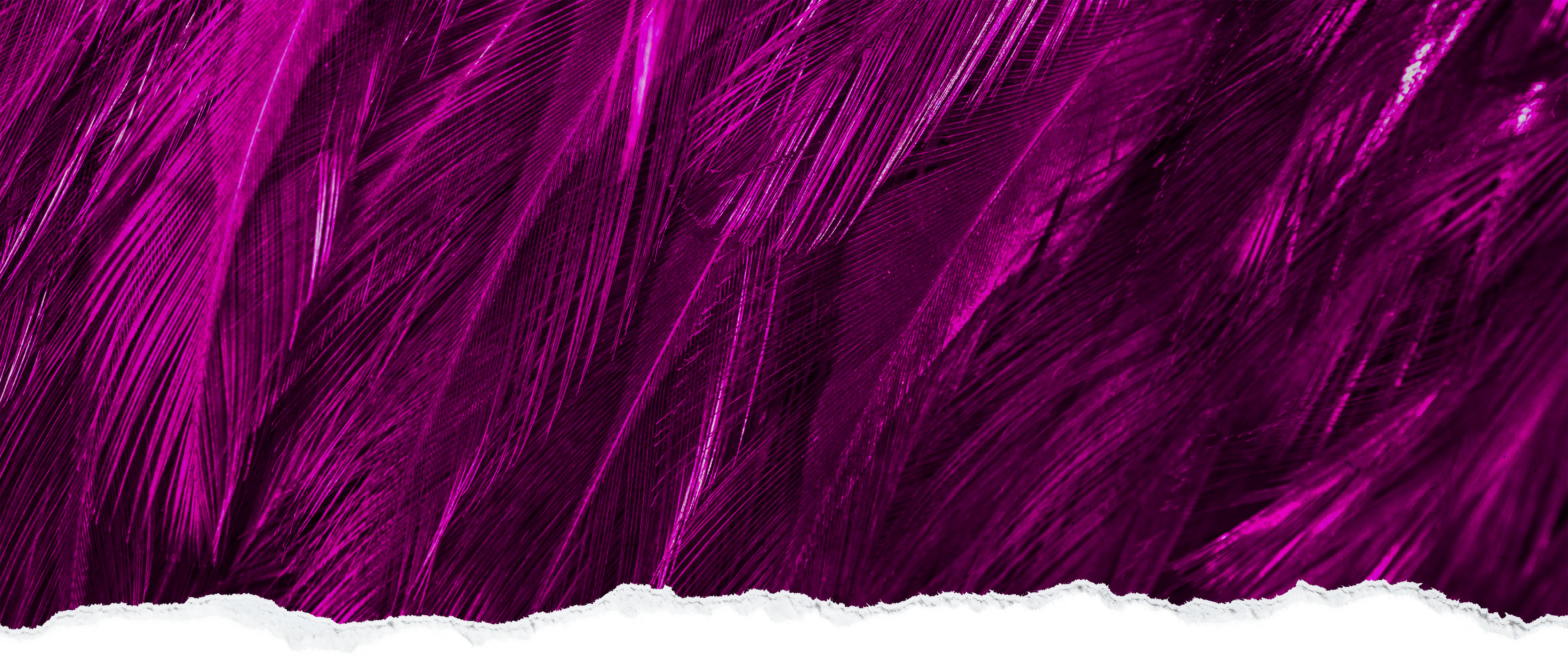 Vimeo feed paper layer